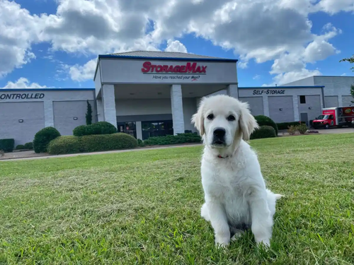 StorageMax dog